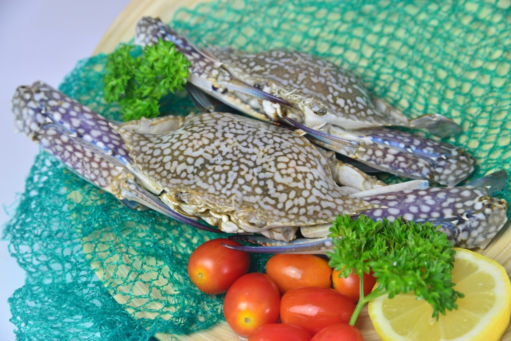 fresh seafood supplier singapore