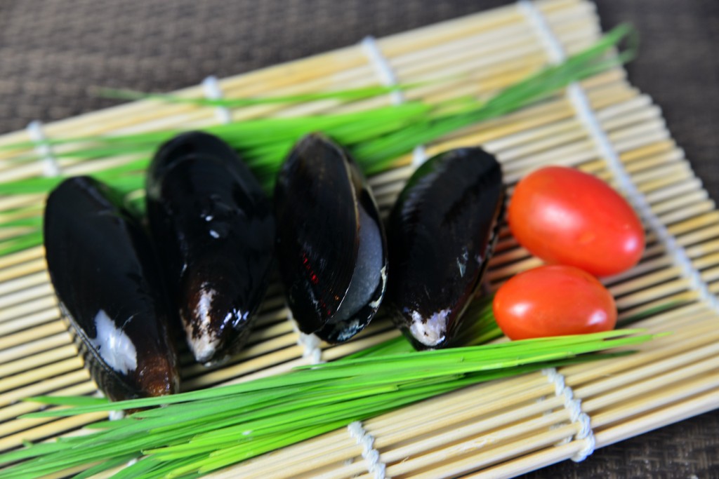 frozen fish fillets suppliers singapore