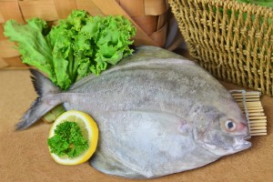 seafood warehouse woodlands