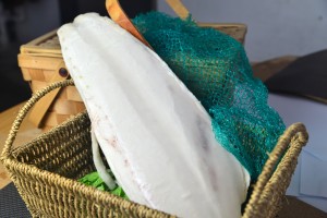 frozen fish fillets suppliers