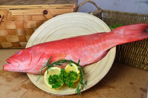 frozen seafood singapore