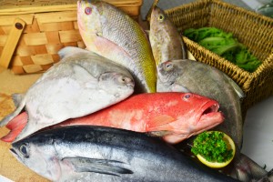 Fresh Seafood Supplier