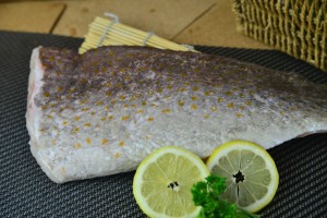 fish fillet wholesaler
