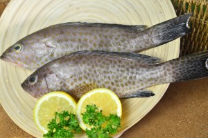 home delivery of fresh fish