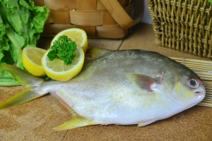 fresh seafood home delivery singapore
