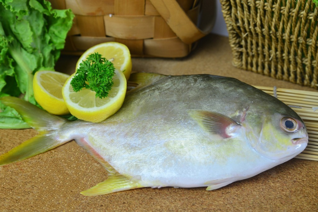 fresh fish for sale online
