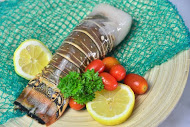 seafood wholesale market