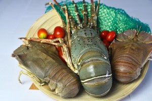fresh seafood supplier singapore