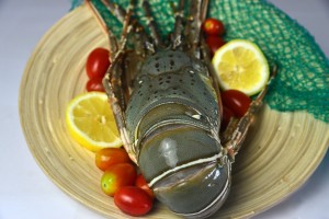 frozen seafood supplier in singapore