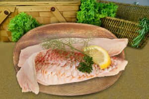 wholesale fish singapore