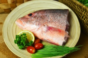 frozen seafood supplier in singapore