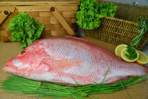 fresh fish delivery singapore
