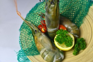 fresh seafood delivery