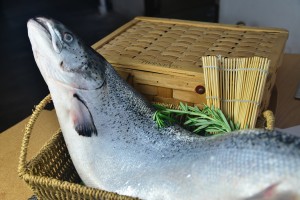 wholesale frozen fish suppliers