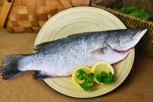 fish distributor in singapore