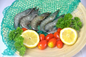 wholesale seafood distributor