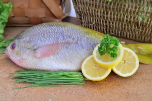 singapore seafood wholesale