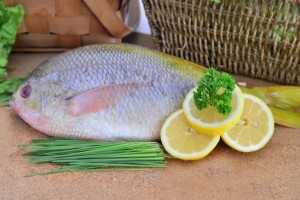 fresh fish free delivery